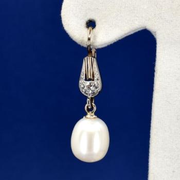 White Gold Earrings - gold, diamond - 2000 White Gold Earrings - gold, diamond - 2000
