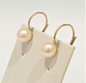 Gold Earrings - yellow gold - 2000
